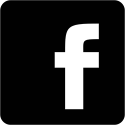 facebookicon zw